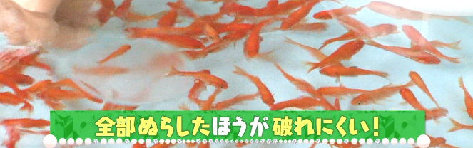 金魚すくいのコツ 金魚がめちゃめちゃ取れる 祭り攻略 東京女子のり子